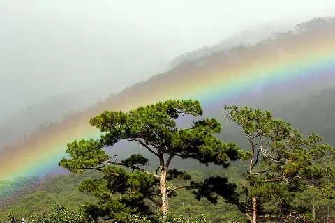 Bidoup Núi Bà National Park