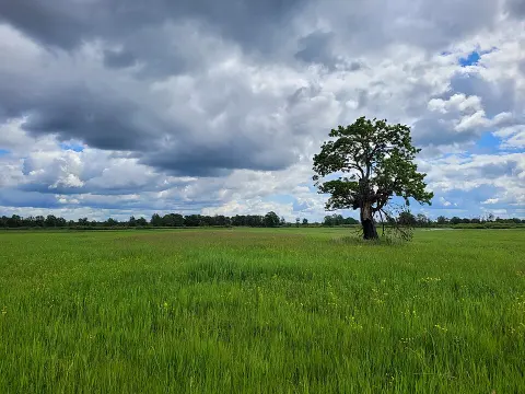 Pripyatsky National Park