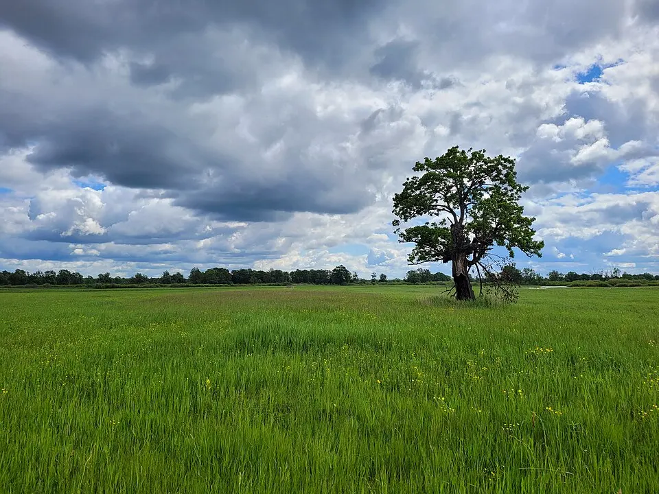 Pripyatsky National Park