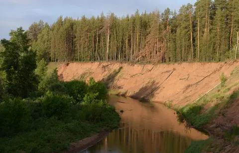 Buzuluksky Bor National Park