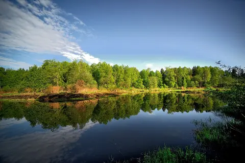 Zavidovo National Park