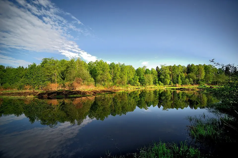 Zavidovo National Park