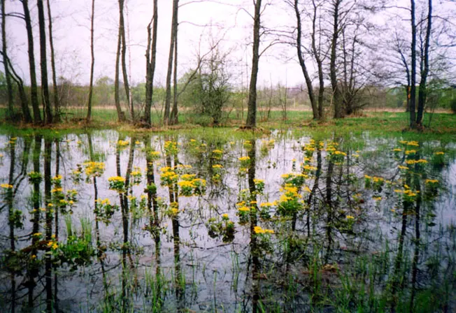 Ichnia National Nature Park