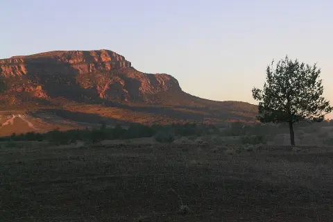 Ikara-Flinders Ranges National Park