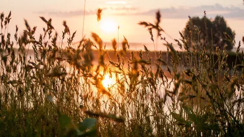 Mezyn National Nature Park
