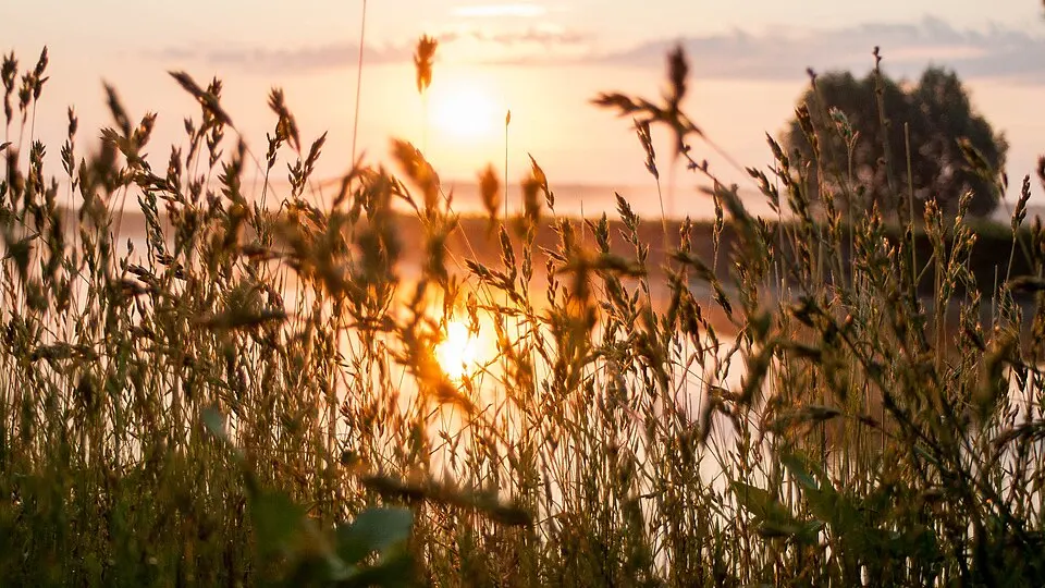 Mezyn National Nature Park