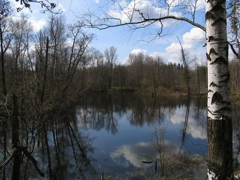 Meshchyora National Park