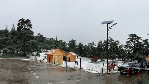 Theniet El Had National Park