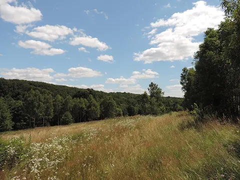 National Nature Park Northern Podillia