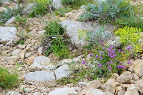 Samarskaya Luka National Park