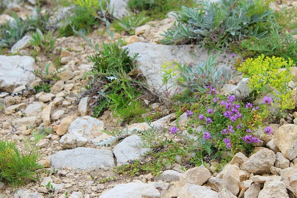 Samarskaya Luka National Park