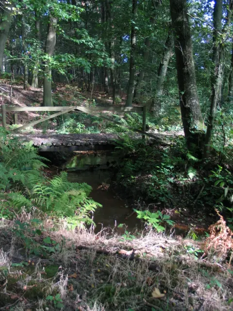 National Park Bosland