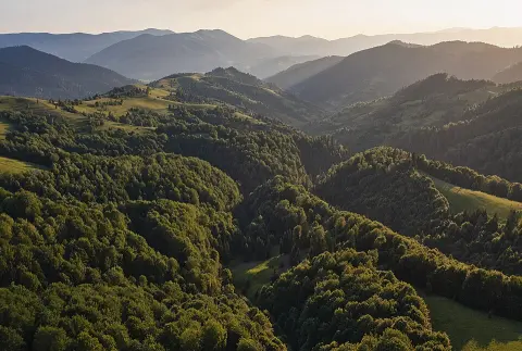 Synevyr National Nature Park