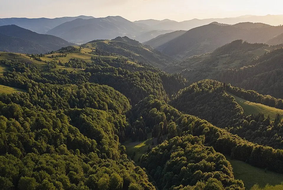 Synevyr National Nature Park