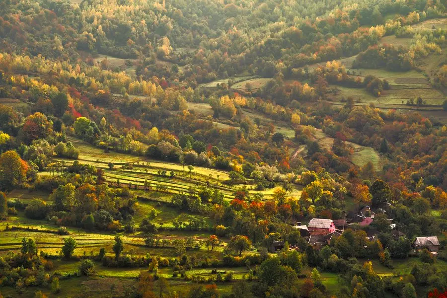 Uzhanskyi National Nature Park