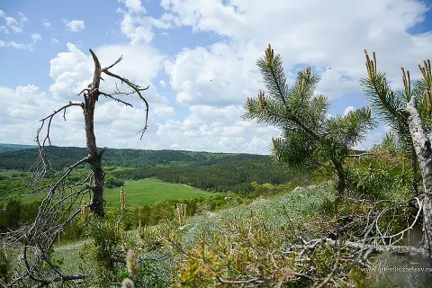 Khvalynsky National Park
