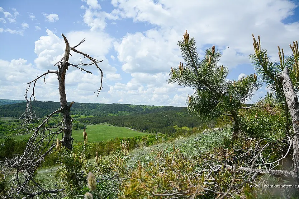 Khvalynsky National Park