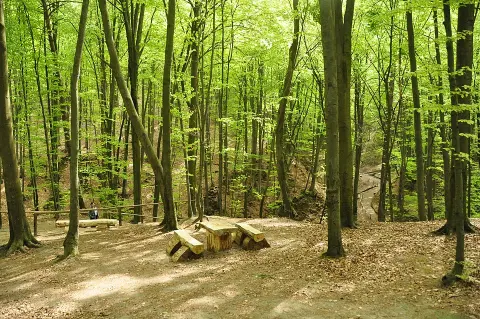 Yavoriv National Nature Park