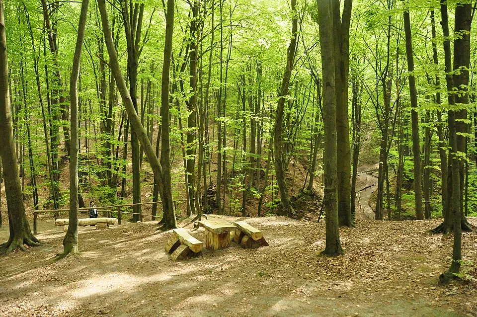 Yavoriv National Nature Park