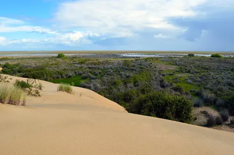 Doñana National Park