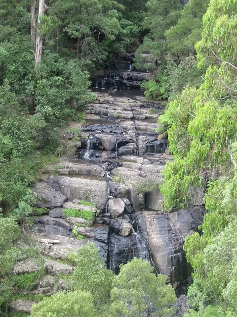Kinglake National Park
