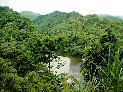 Alexander von Humboldt National Park