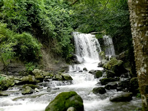 Juan Crisóstomo Falcón National Park