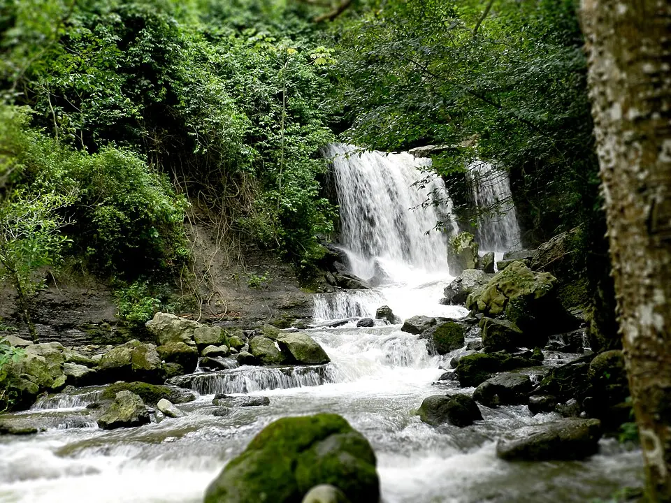 Juan Crisóstomo Falcón National Park