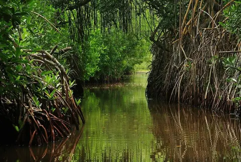 Laguna de Tacarigua National Park