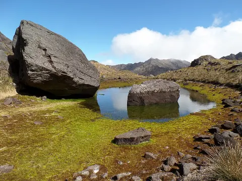 General Juan Pablo Peñaloza National Park