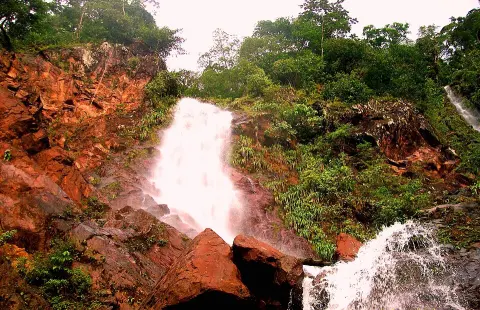 Chorro El Indio National Park