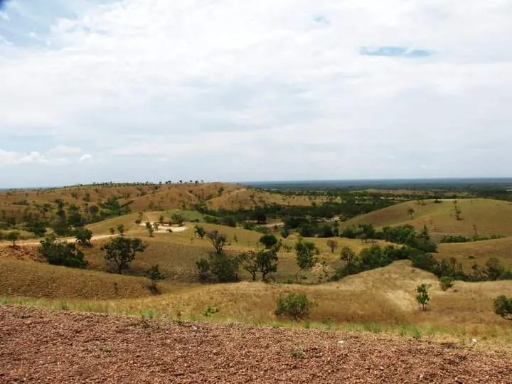Aguaro-Guariquito National Park
