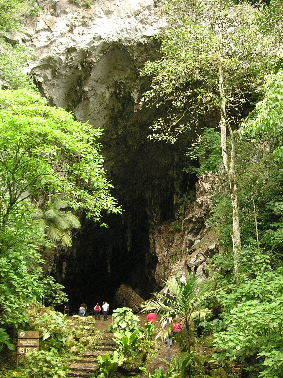 El Guacharo National Park