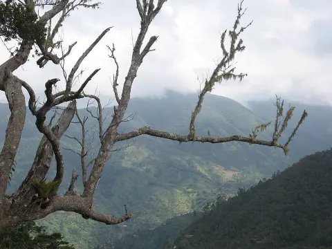 Blue and John Crow Mountains National Park