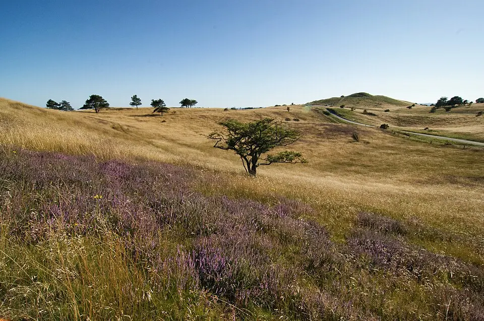 Mols Bjerge National Park