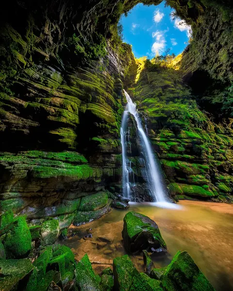 Campos Gerais National Park