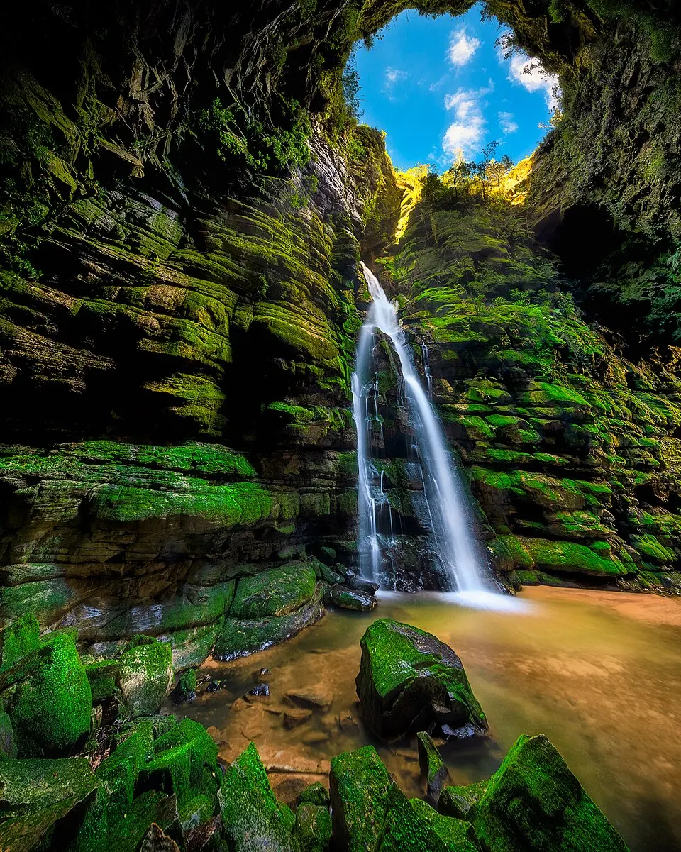 Campos Gerais National Park