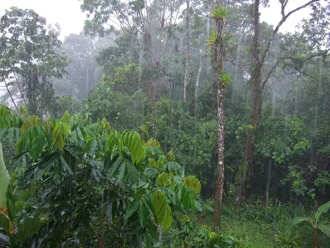 Sumaco Napo-Galeras National Park