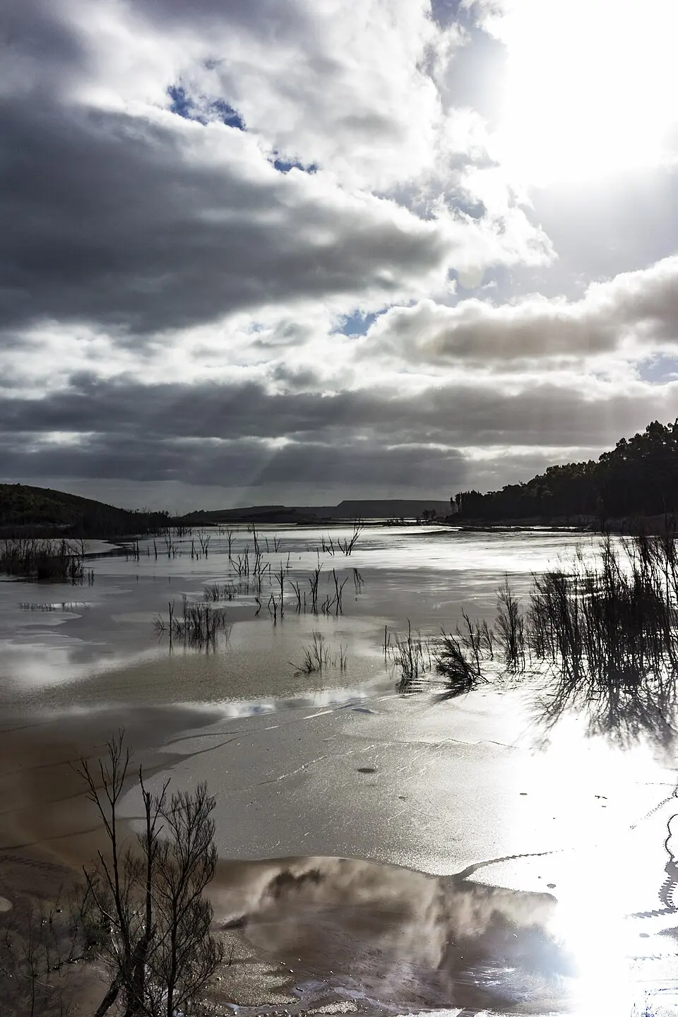 Savage River National Park
