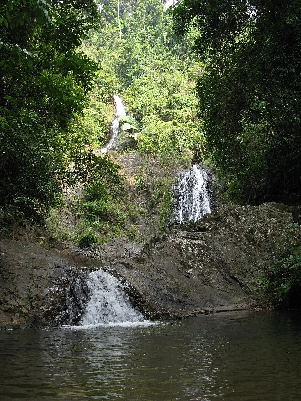 Khao Phanom Bencha National Park