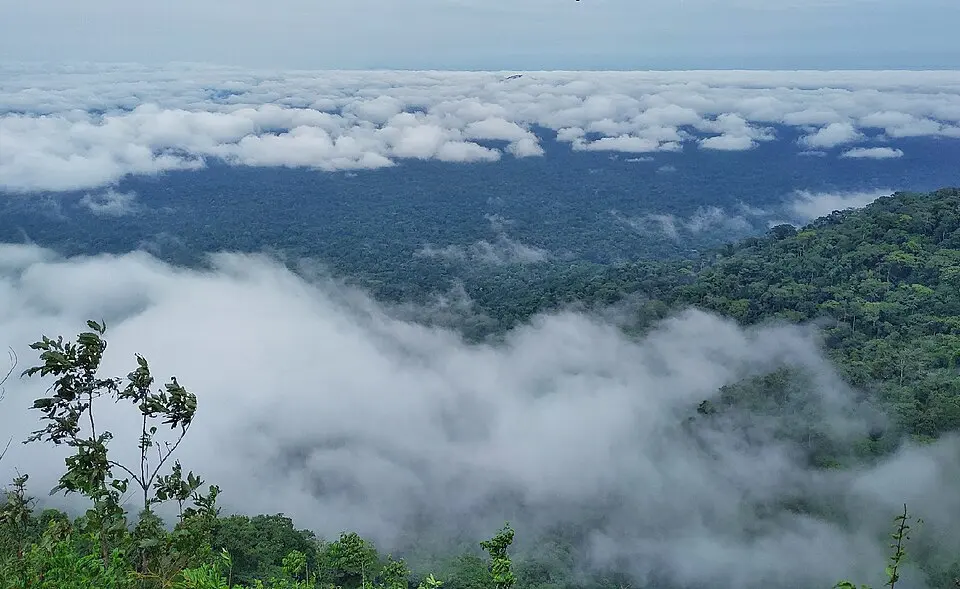 Takamanda National Park