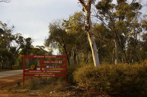 Dryandra Woodland National Park