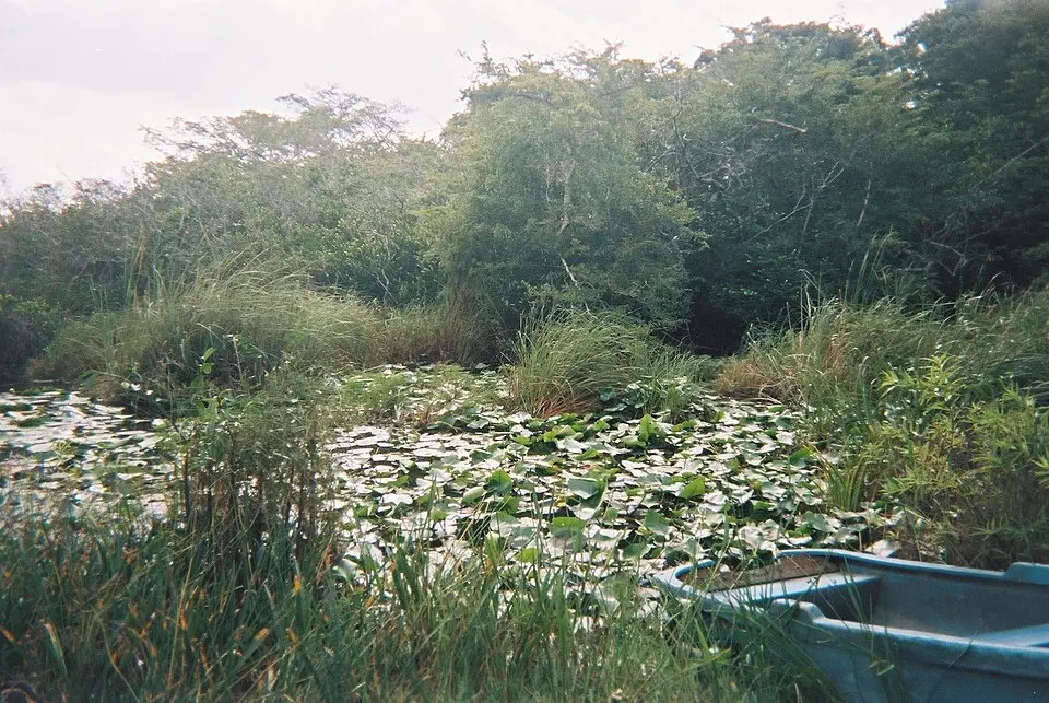 Ciénaga de Lanier National Park