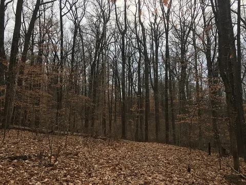 Fort Dupont Park