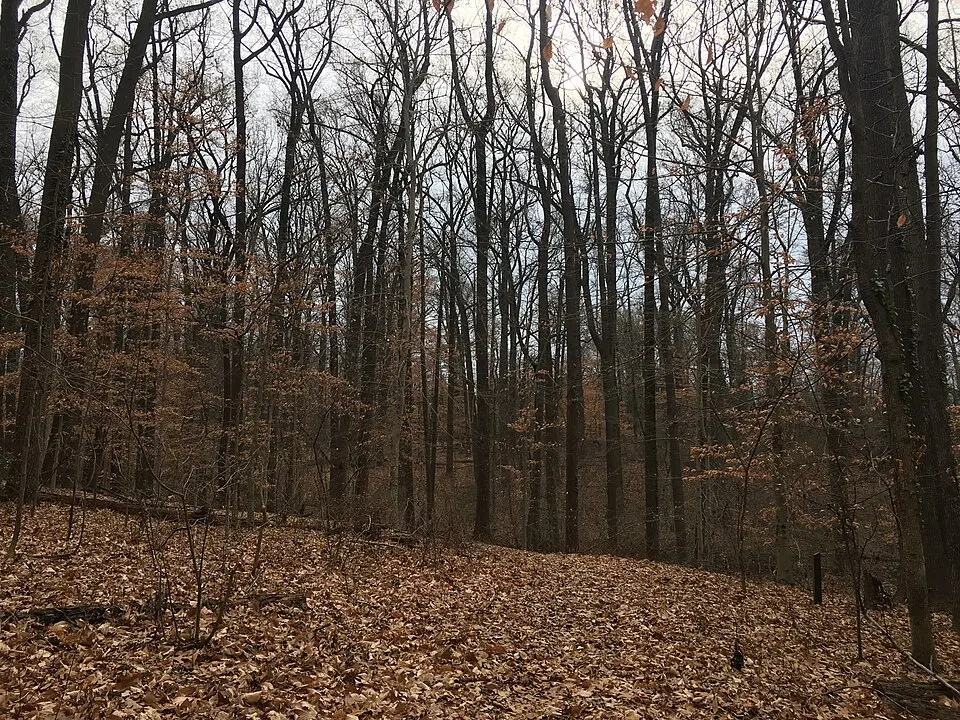 Fort Dupont Park