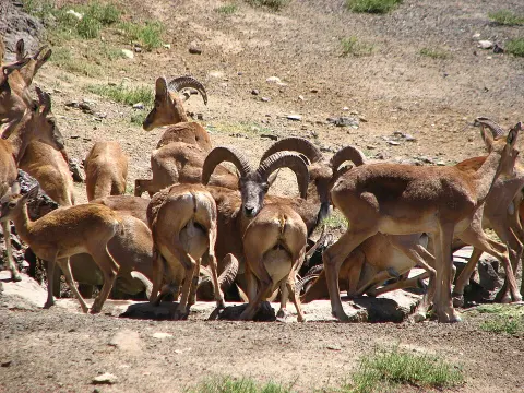 Khar Turan National Park