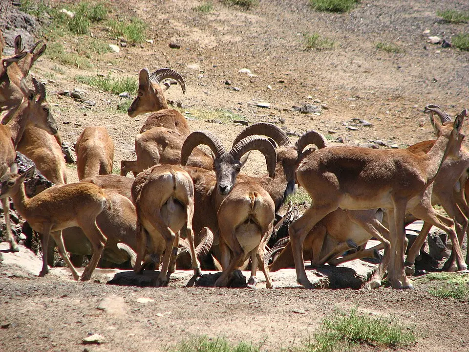 Khar Turan National Park