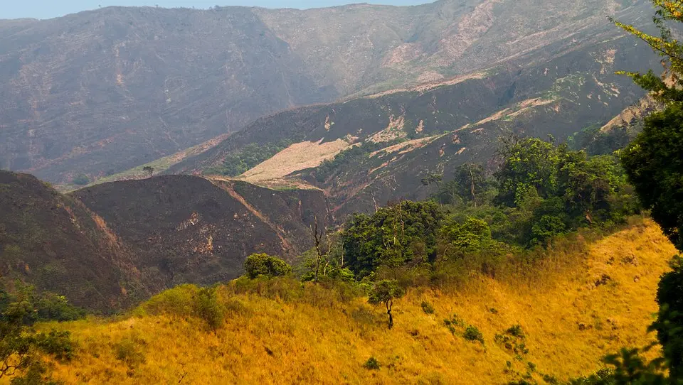 Mount Cameroon National Park