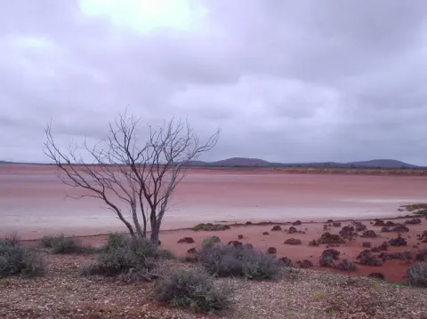 Lake Gairdner National Park