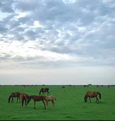 Bujagh National Park